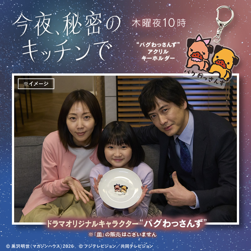 ����A�閧�̃L�b�`���� �p�O������� �A�N�����L�[�z���_�[2