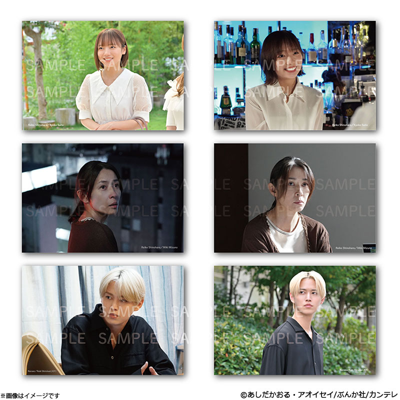 ̖DcÊ͍߂łH |XgJ[h6Zbg